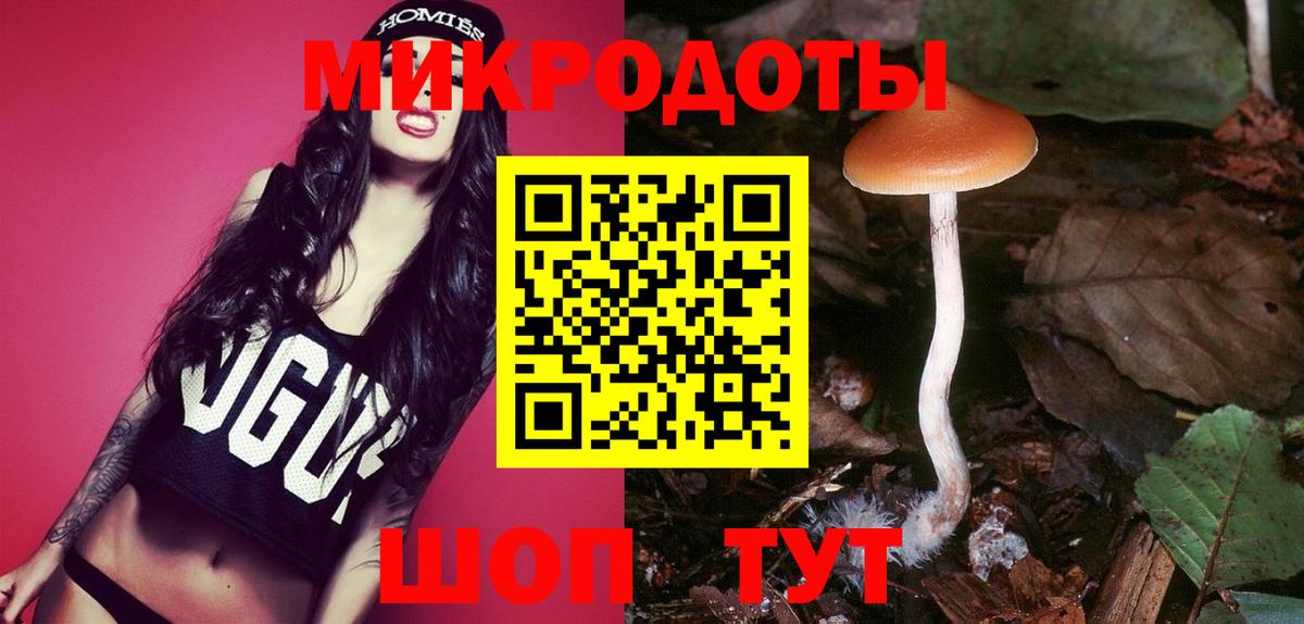 Галлюциногенные грибы мухоморы Октябрьский